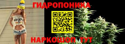 твердый Пушкино