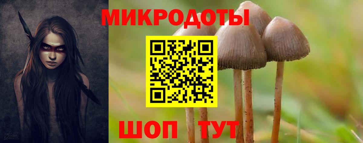 Самара  Псилоцибиновые грибы Psilocybe  Вход с VPN  где можно купить наркотик  Галлюциногенные грибы GOLDEN TEACHER 